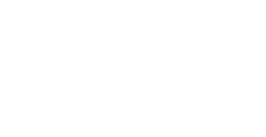MEGA TRAVEL